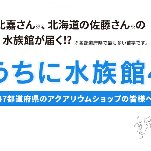 おうちに水族館47™始まるよ！