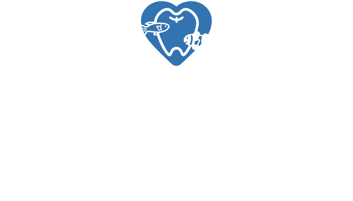 デンタル アクアパーク 水の音や光の揺らぎで心を穏やかに癒してくれます。