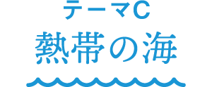 テーマC 熱帯の海