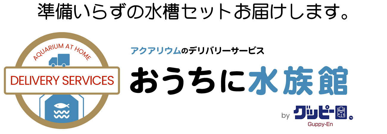 おうちに水族館 デリバリーサービス グッピー園 山形のアクアショップ